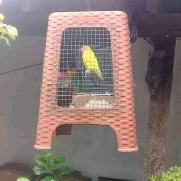 bikin kandang burung kreatif © berbagai sumber