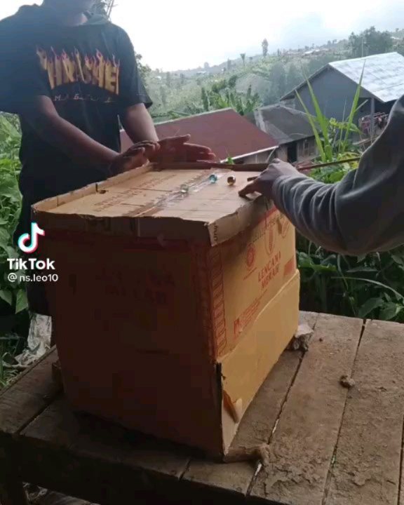 kardus dialih fungsikan lucu © berbagai sumber