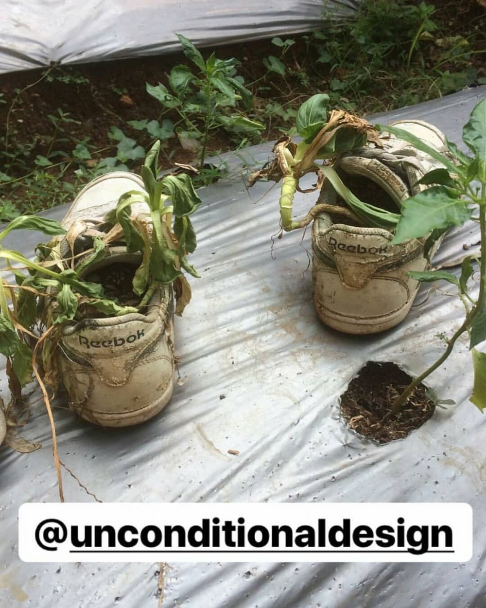 sepatu dialih fungsikan nyeleneh © berbagai sumber