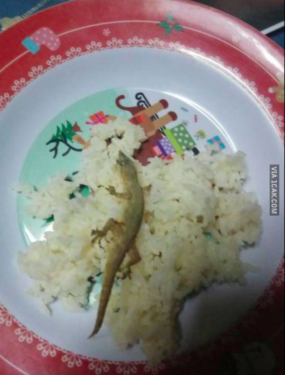 15 Lauk makan nasi ini nyelenehnya bikin nafsu makan hilang