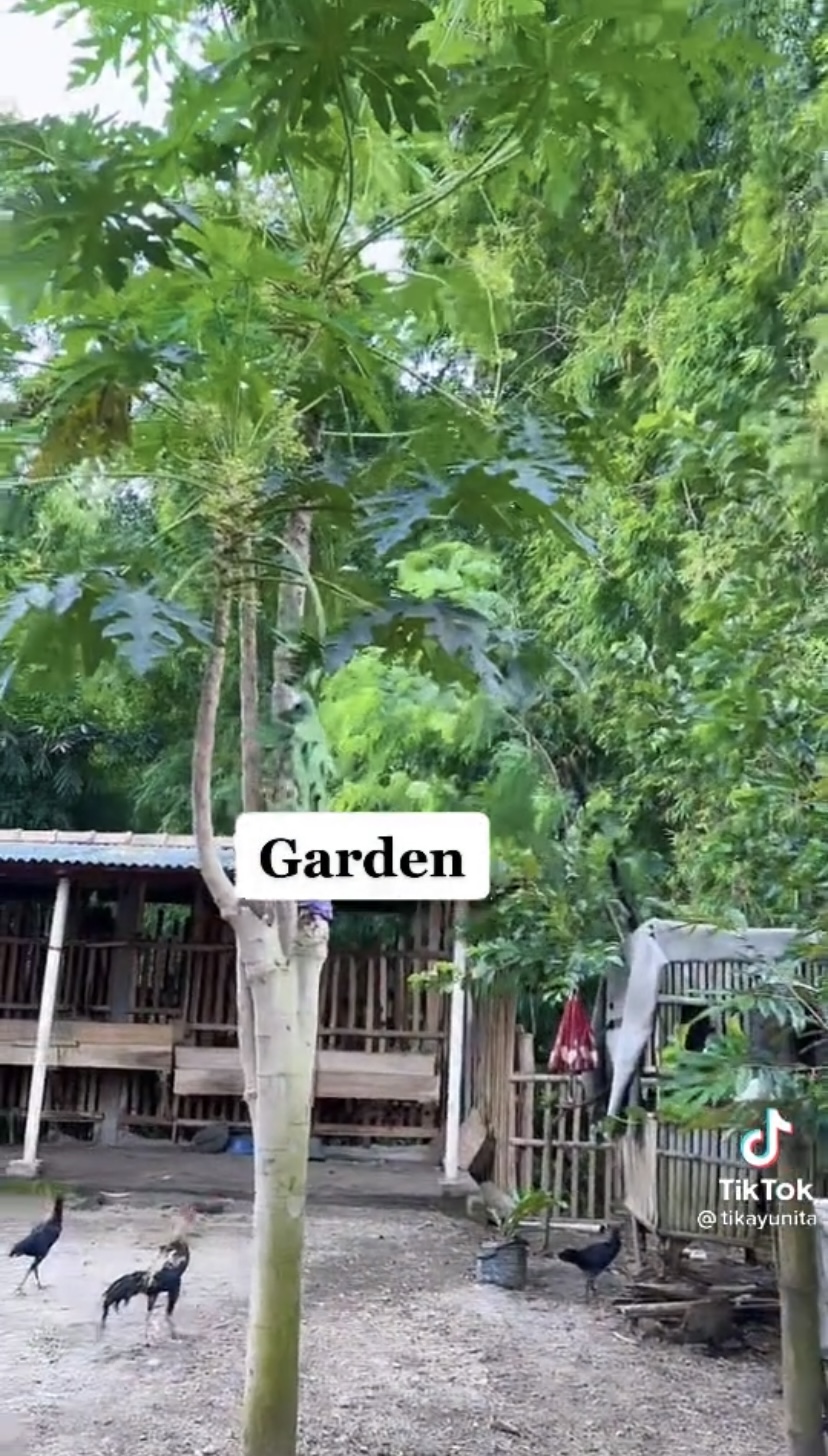 pamer ala crazy rich tapi tak terduga © 2022 berbagai sumber