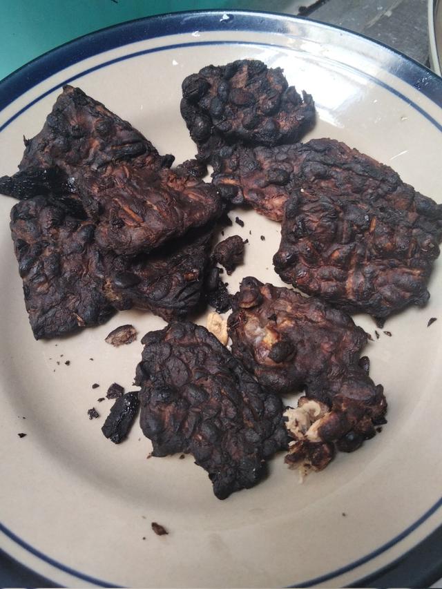 Momen apes memasak sampai gosong Berbagai sumber