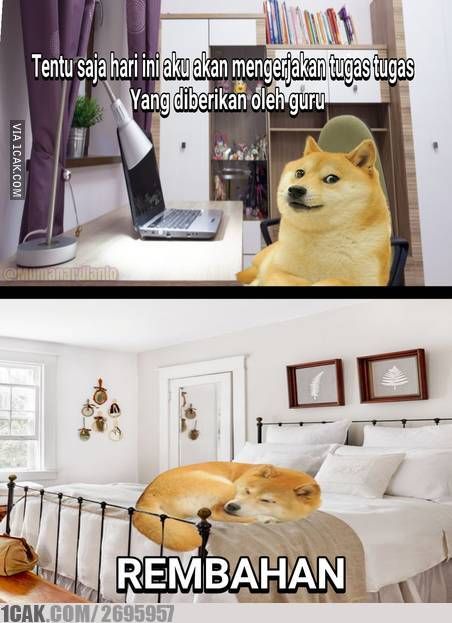 Meme drama mengerjakan tugas Berbagai sumber Meme drama mengerjakan tugas Berbagai sumber