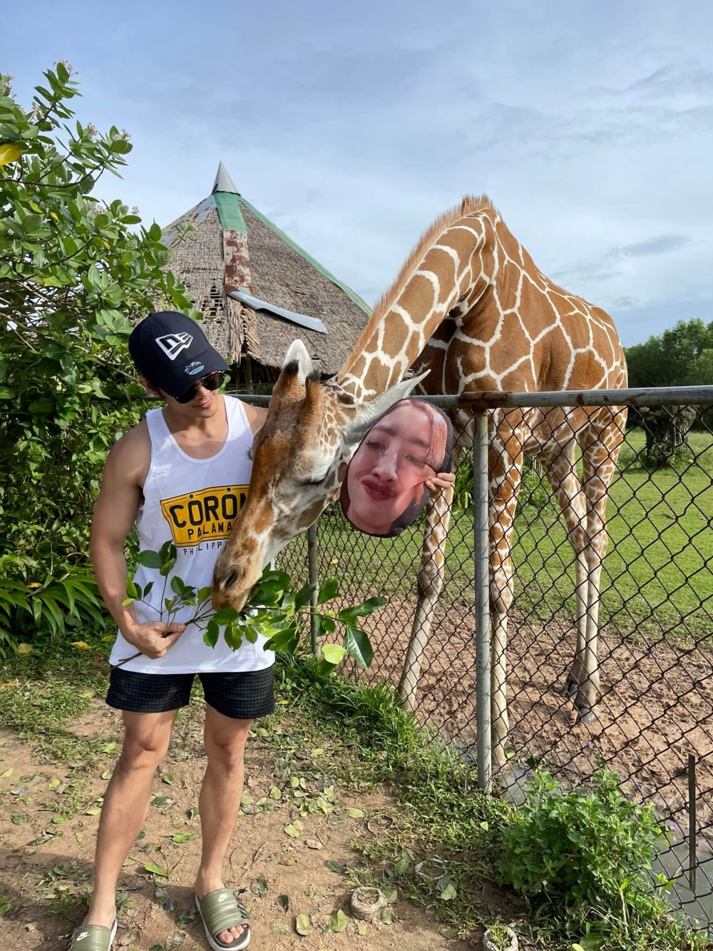 pria liburan bawa bantal foto wajah istrinya © Facebook/Raymond Tan Fortunado pria liburan bawa bantal foto wajah istrinya © Facebook/Raymond Tan Fortunado