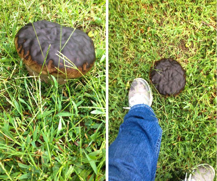 potret bikin terkecoh tertipu © berbagai sumber potret bikin terkecoh tertipu © berbagai sumber