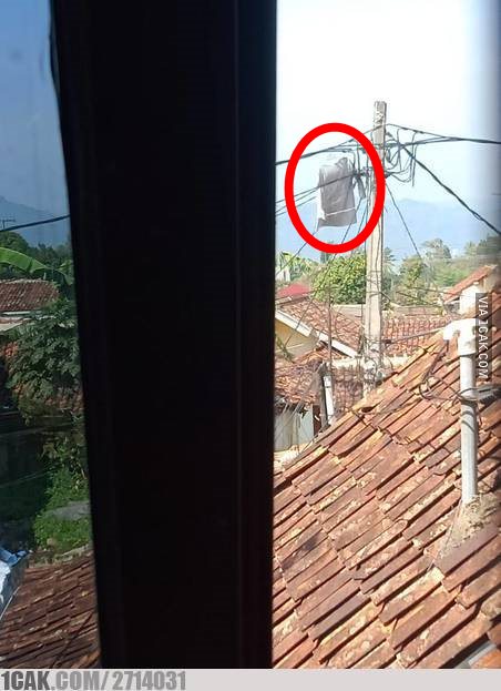 benda nyangkut di kabel listrik © berbagai sumber