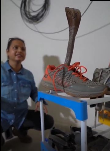 kobra masuk sepatu Berbagai sumber kobra masuk sepatu Berbagai sumber