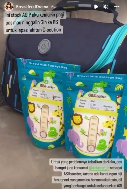 10 Makanan dikonsumsi Adiezty Fersa usai melahirkan, lancarkan ASI