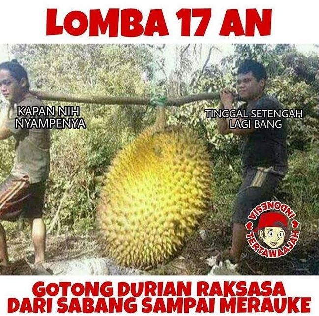 Meme kocak macam-macam lomba 17-an Berbagai sumber