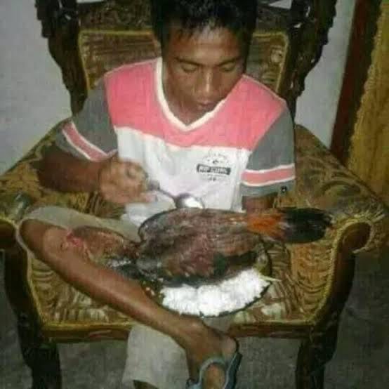 bapak kalau makan absurd abis © berbagai sumber bapak kalau makan absurd abis © berbagai sumber