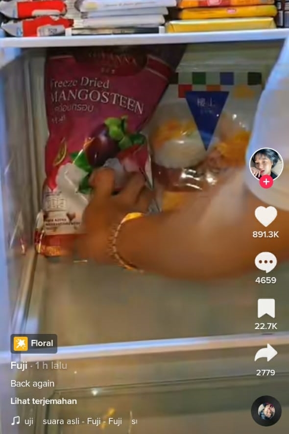 13 Makanan dan minuman ala Fuji buat jadi stok bulanan di kulkas