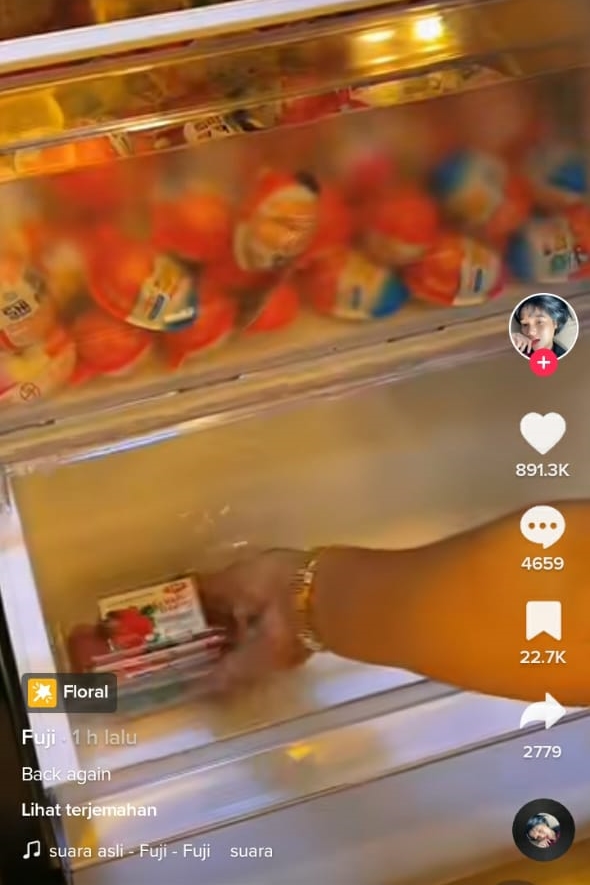 13 Makanan dan minuman ala Fuji buat jadi stok bulanan di kulkas