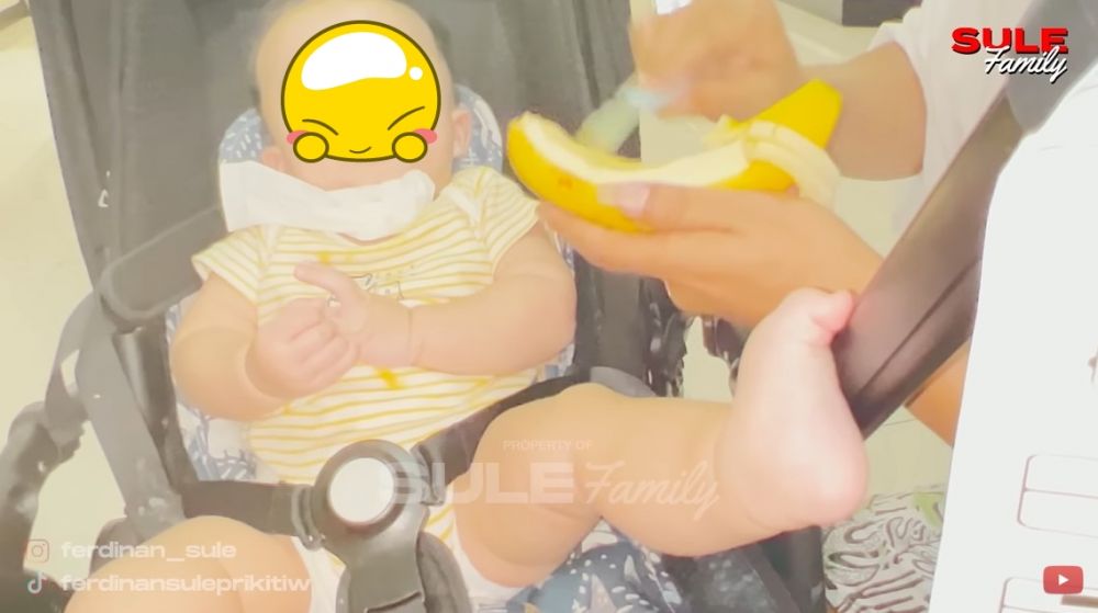 10 Menu MPASI Nathalie Holscher, penuhi nutrisi si kecil