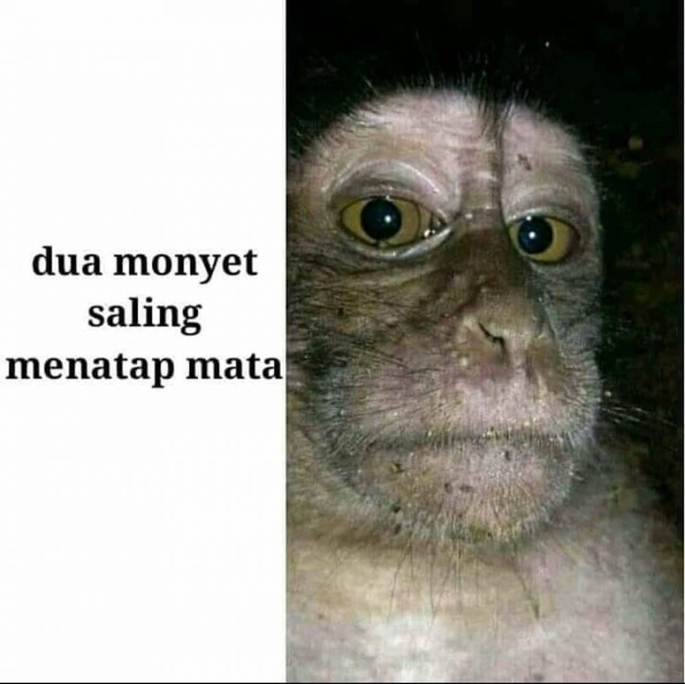 meme isi tes jebakan © berbagai sumber meme isi tes jebakan © berbagai sumber