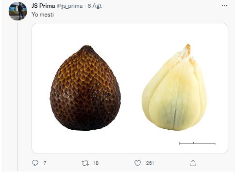 11 Cuitan sambung lirik pakai gambar ini mau nyanyi malah mikir keras