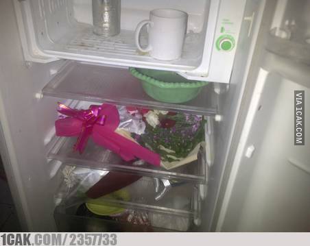 isi kulkas ngagetin yang buka © berbagai sumber