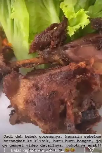 Kreasi masakan serba bebek ala 10 seleb, nikmat dan antialot
