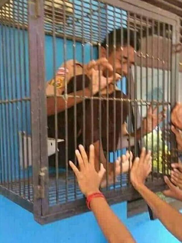 penampakan aneh di kandang burung © berbagai sumber