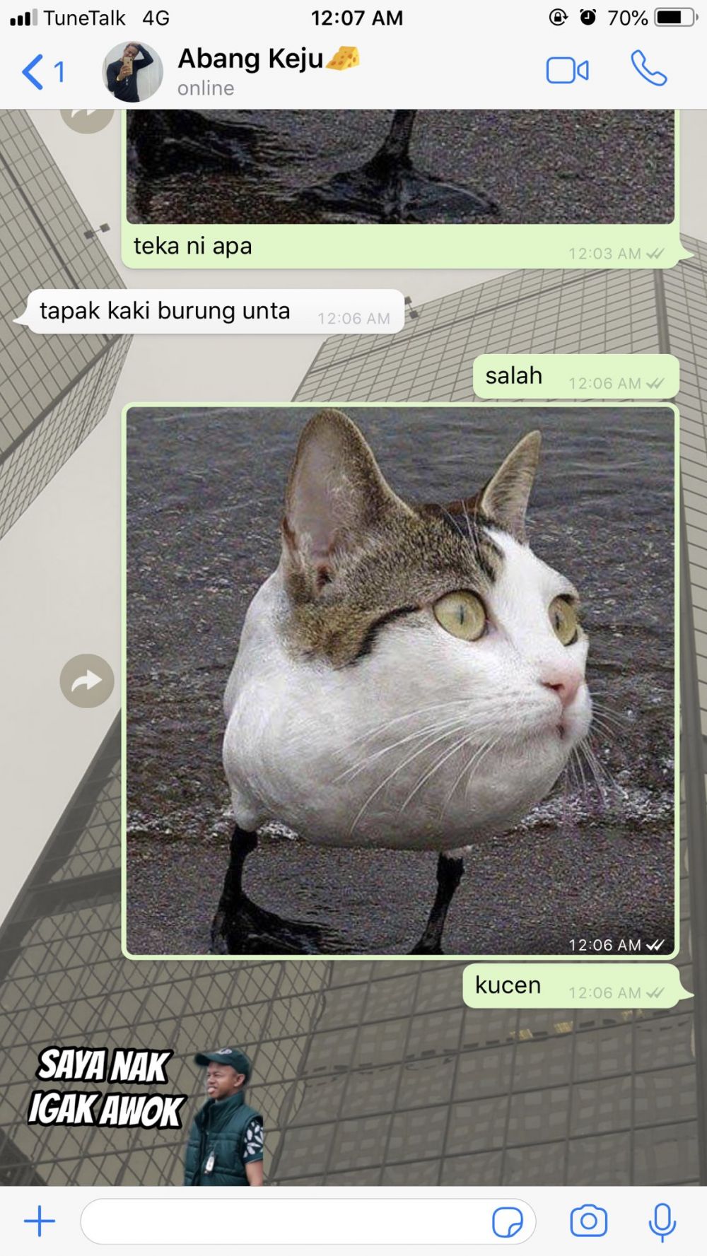 Chat lucu tebak-tebakan sulit diterka © berbagai sumber Chat lucu tebak-tebakan sulit diterka © berbagai sumber