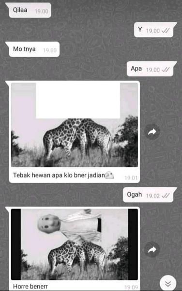 Chat lucu tebak-tebakan sulit diterka © berbagai sumber Chat lucu tebak-tebakan sulit diterka © berbagai sumber