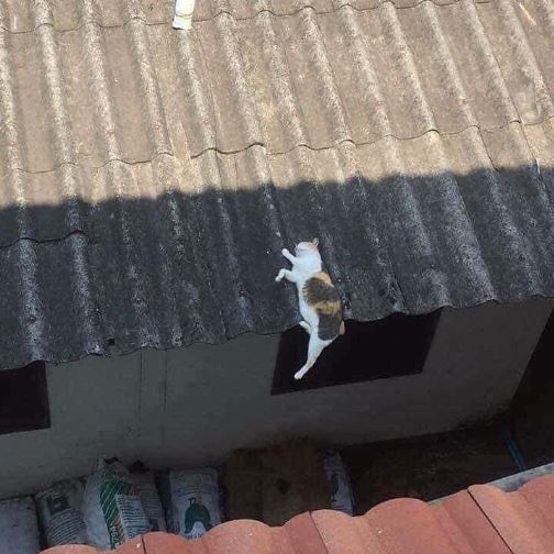 benda di atap rumah kelihatan nyeleneh © berbagai sumber