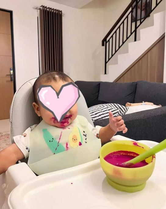 10 Inspirasi camilan MPASI ala 10 seleb, serba tinggi nutrisi