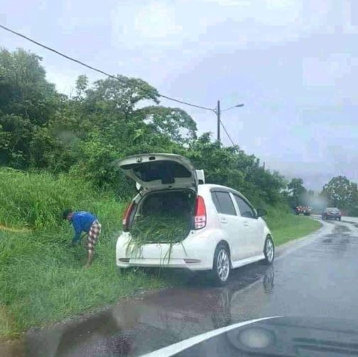 orang ogah capek tingkahnya lucu © berbagai sumber orang ogah capek tingkahnya lucu © berbagai sumber