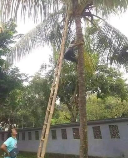 orang di bawah pohon nyeleneh © berbagai sumber