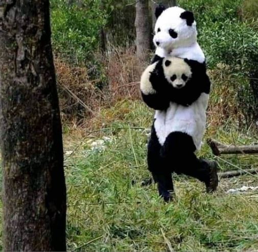 orang di bawah pohon nyeleneh © berbagai sumber