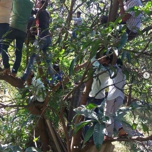 orang di bawah pohon nyeleneh © berbagai sumber
