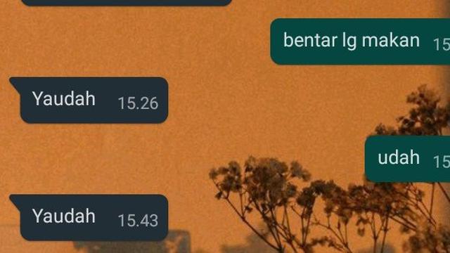 chat lucu pasangan super cuek © berbagai sumber chat lucu pasangan super cuek © berbagai sumber