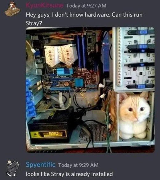 hewan salah tempat © berbagai sumber