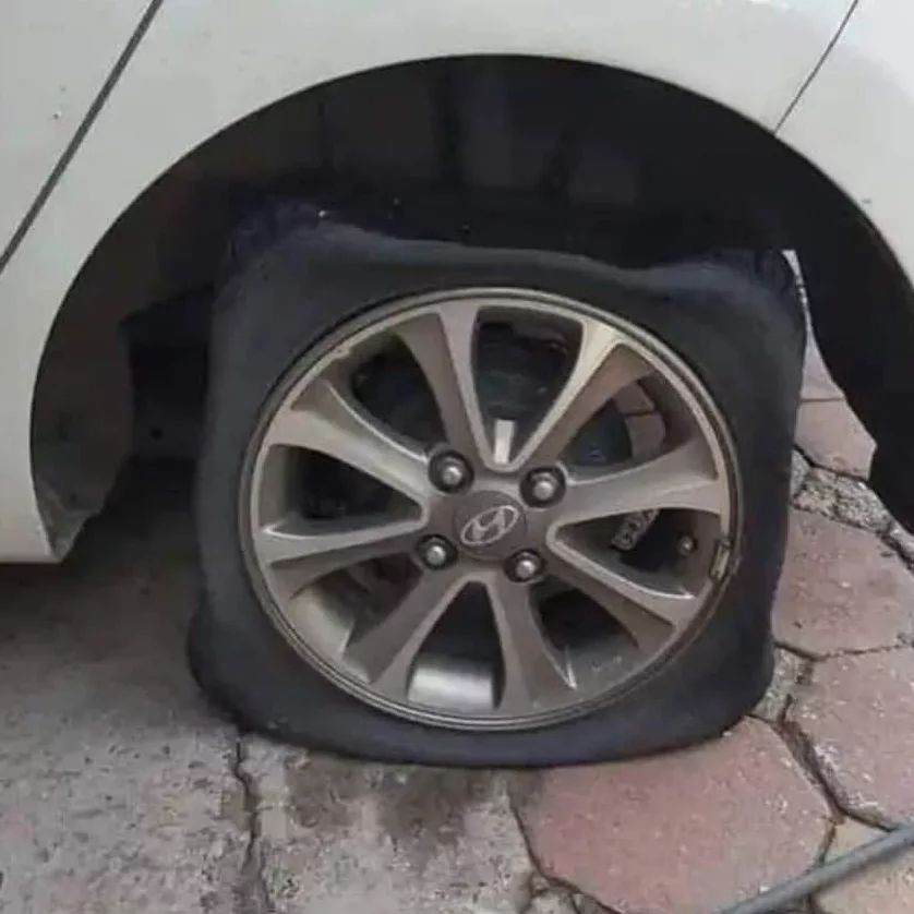 momen apes mobil bikin panik © berbagai sumber