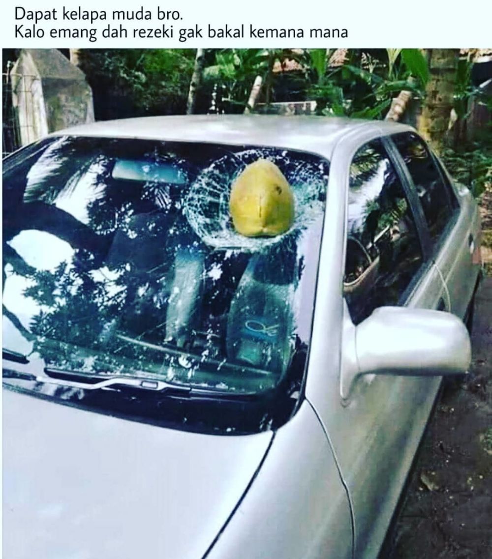 momen apes mobil bikin panik © berbagai sumber
