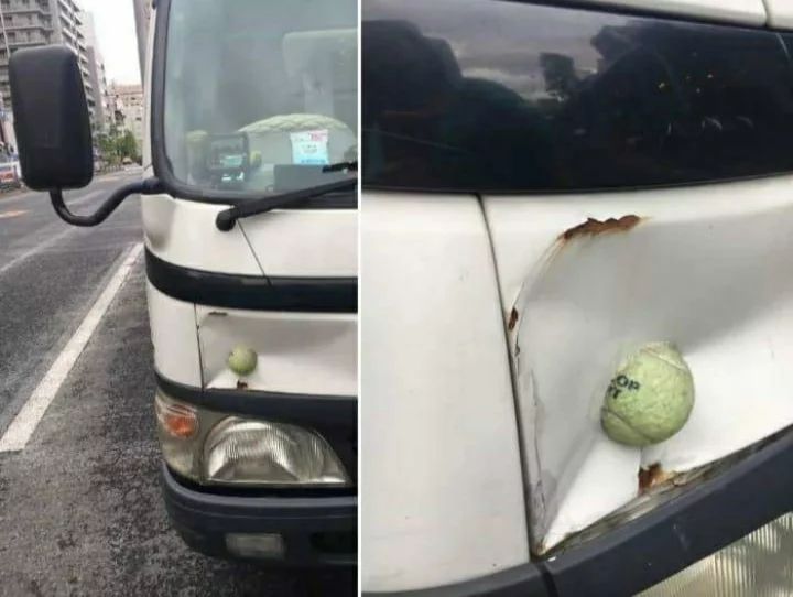 momen apes mobil bikin panik © berbagai sumber