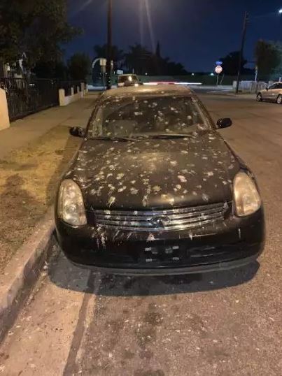 momen apes mobil bikin panik © berbagai sumber momen apes mobil bikin panik © berbagai sumber