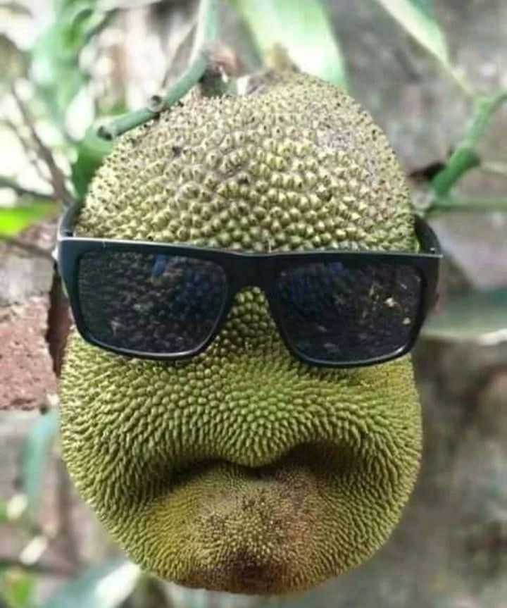 wajah di benda yang nggak terduga © berbagai sumber