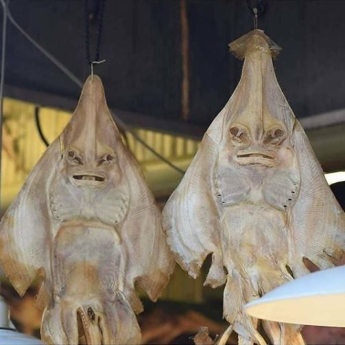 wajah di benda yang nggak terduga © berbagai sumber