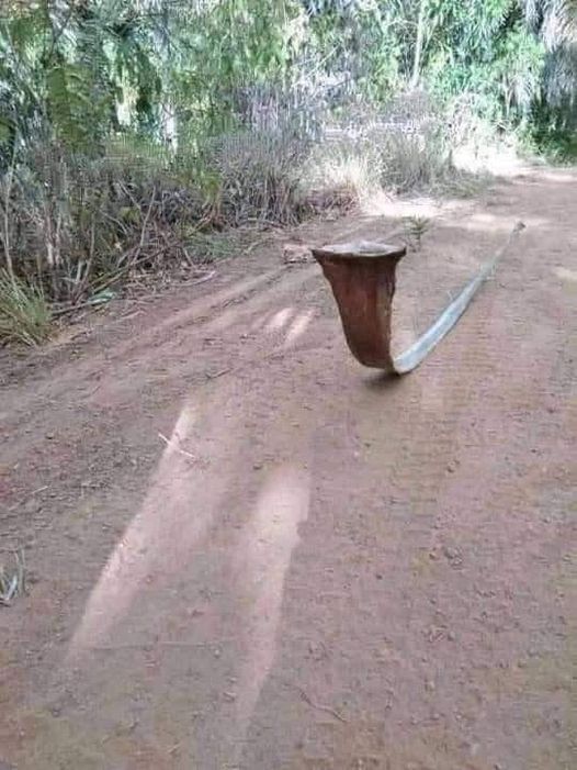 benda mirip ular © Facebook