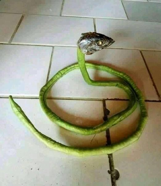 benda mirip ular © Facebook