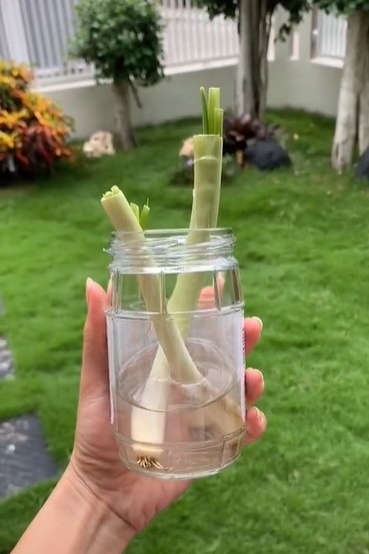 Cocok untuk anak kos, 10 bahan makanan ini bisa disimpan tanpa kulkas