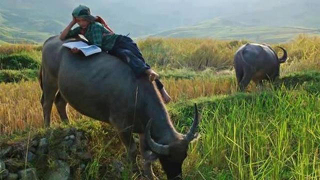 Posisi baca buku antimainstream Berbagai sumber