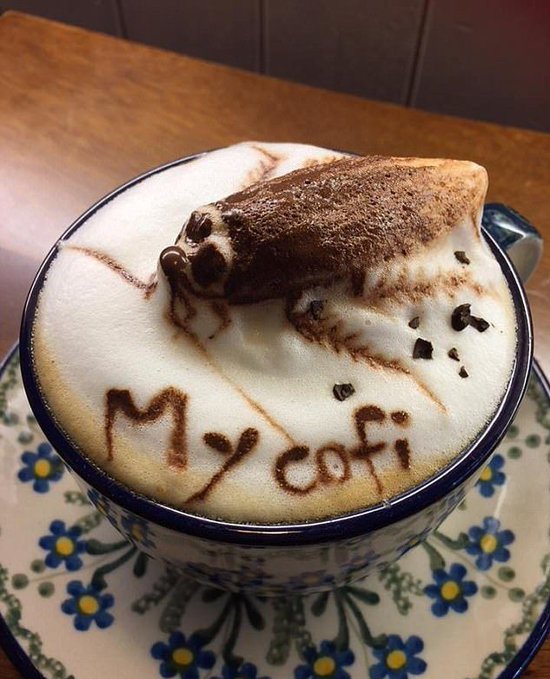 penampakan kopi bikin bingung banget © berbagai sumber