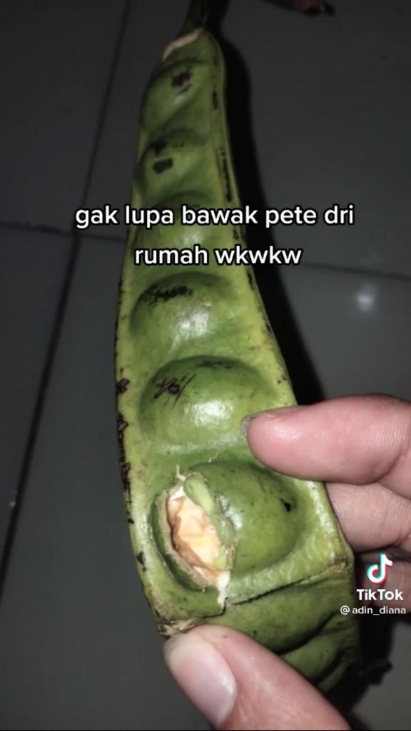 wanita bawa petai ke bioskop © berbagai sumber wanita bawa petai ke bioskop © berbagai sumber