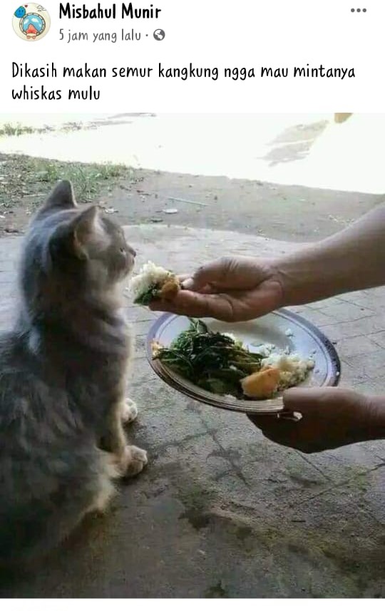 aksi nyeleneh pengguna Facebook © berbagai sumber