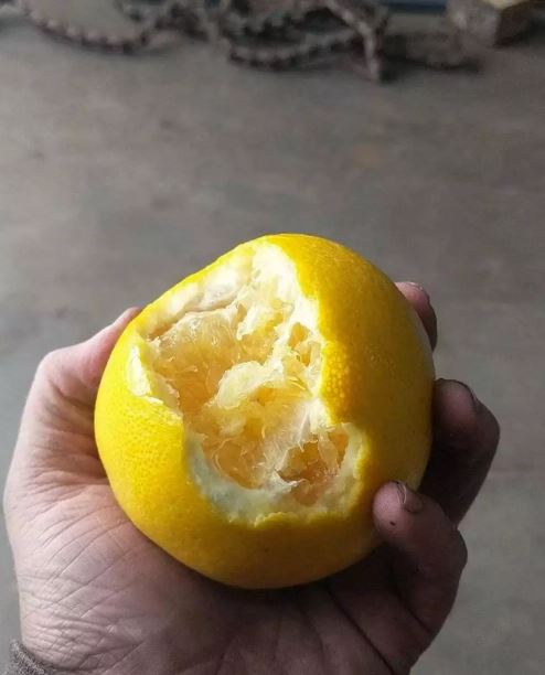 Cara makan buah nyeleneh abis Berbagai sumber