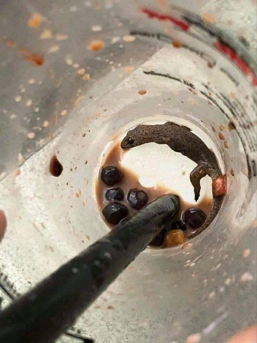 pas lagi minum malah apes banget © berbagai sumber