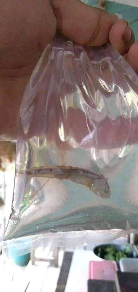 pas lagi minum malah apes banget © berbagai sumber