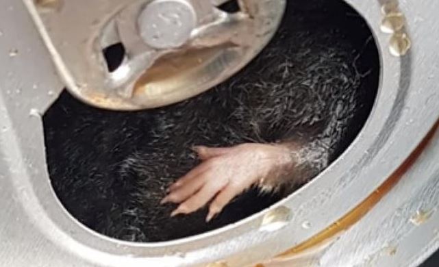 pas lagi minum malah apes banget © berbagai sumber