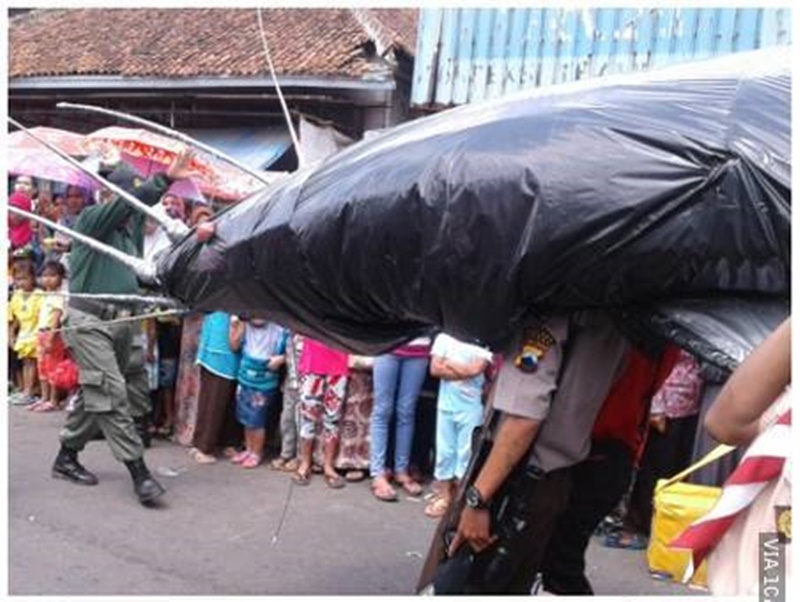 benda di karnaval ada-ada aja © berbagai sumber